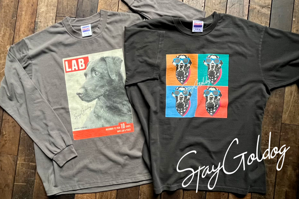 STAY GOLDOG